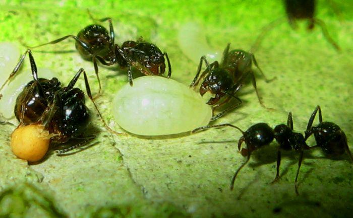 Момент истины